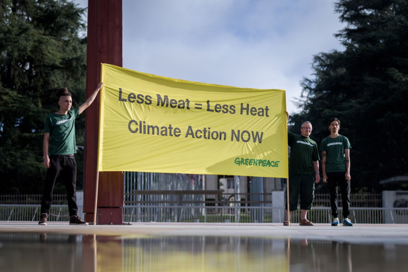 Greenpeace activists protest in Geneva before the release of the IPCC report on climate change and land on Thursday.