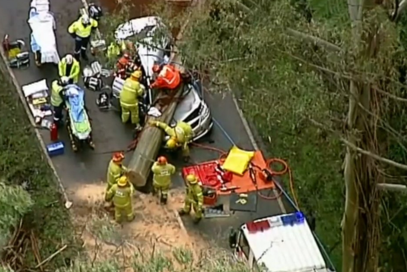 A massive tree fell on a car on the Black Spur in the Yarra Ranges.