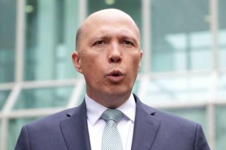 Peter Dutton orders AFP to consider importance of press freedom before investigating reporters