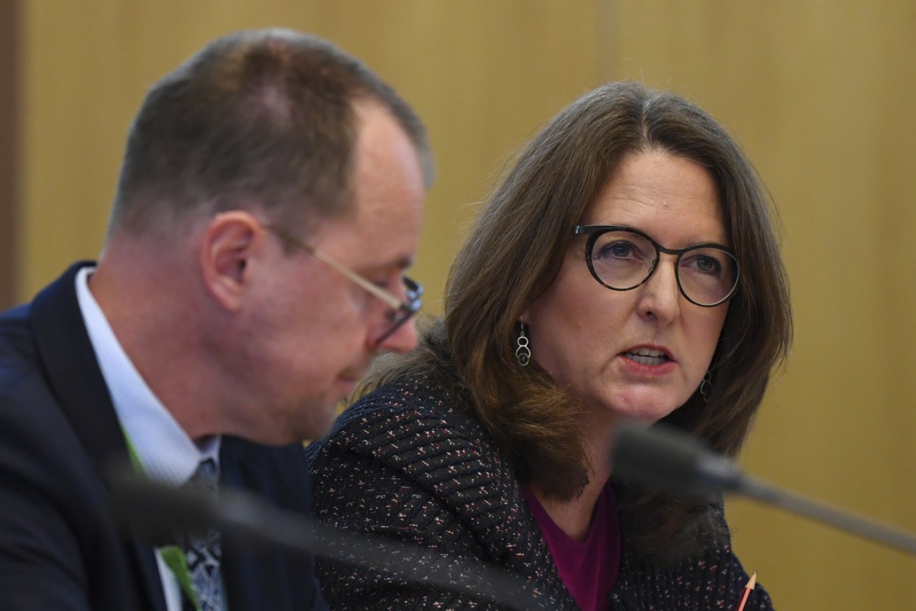 ASIO deputy director-general Heather Cook, pictured on July 31, says spies are posing as journalists.  