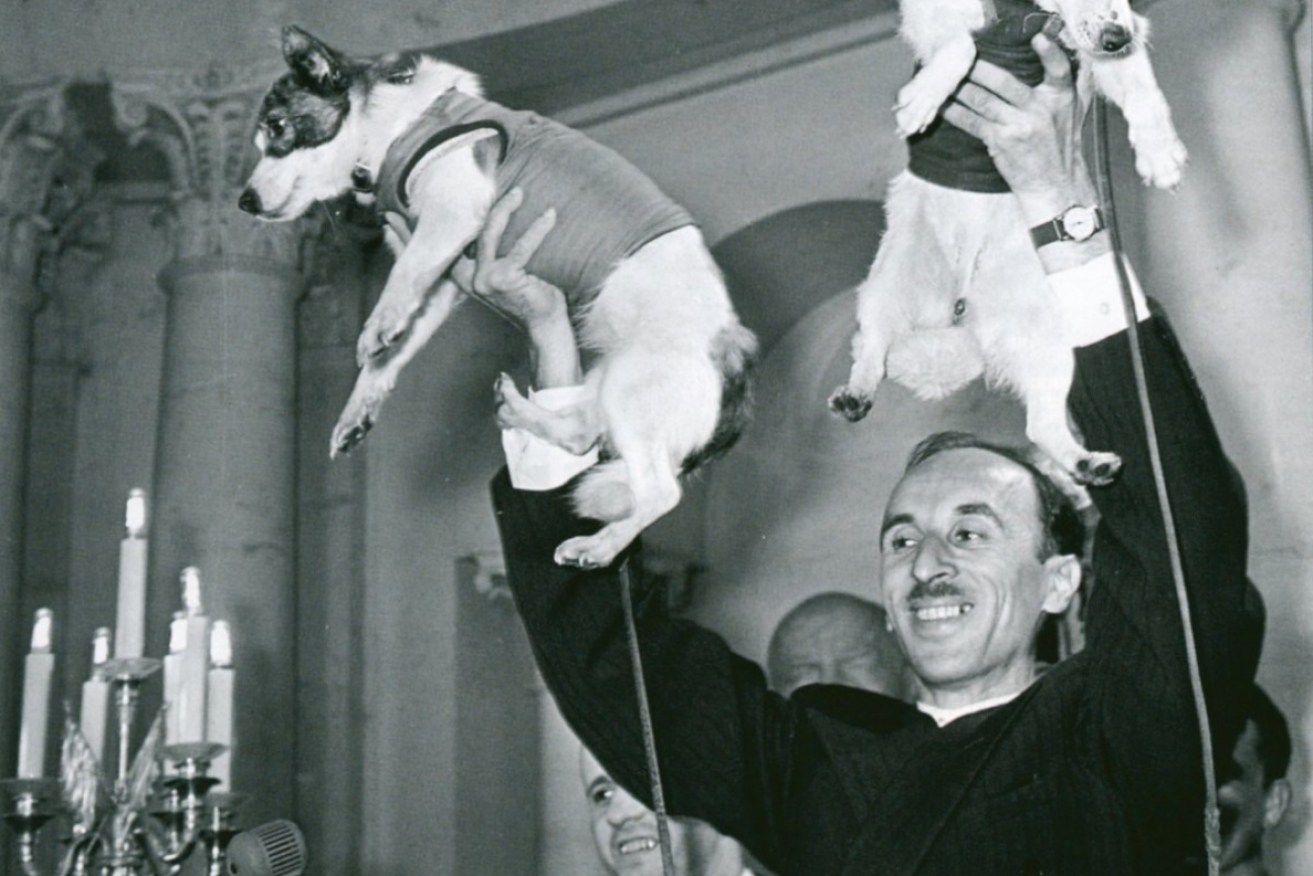 Oleg Gazenko, director of Russia’s Institute of Biomedical Problems, holds up Belka (right) and Strelka (left). 