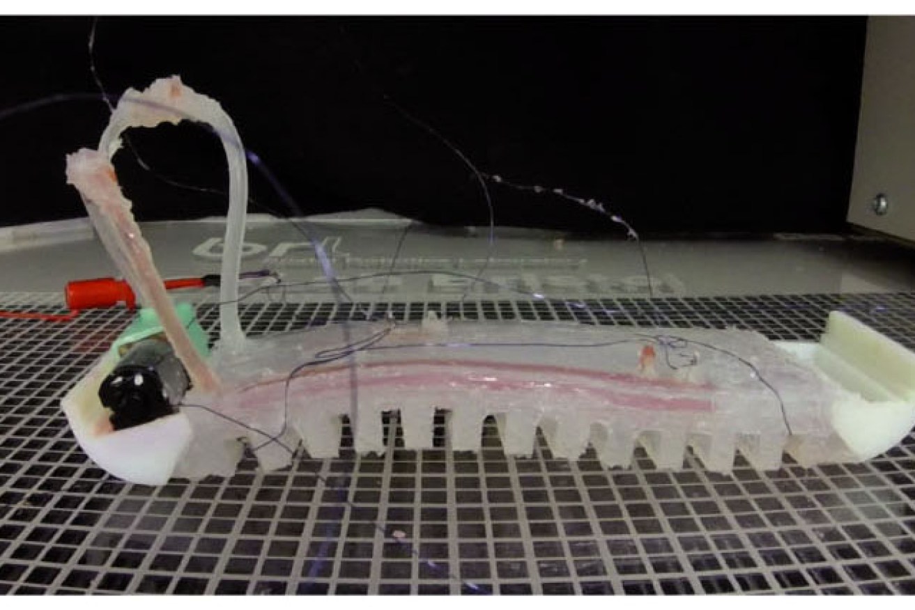 A soft matter computer-controlled softworm robot. Researchers at the University of Bristol have demonstrated a new way of embedding computation into soft robotic materials which increase their capabilities.