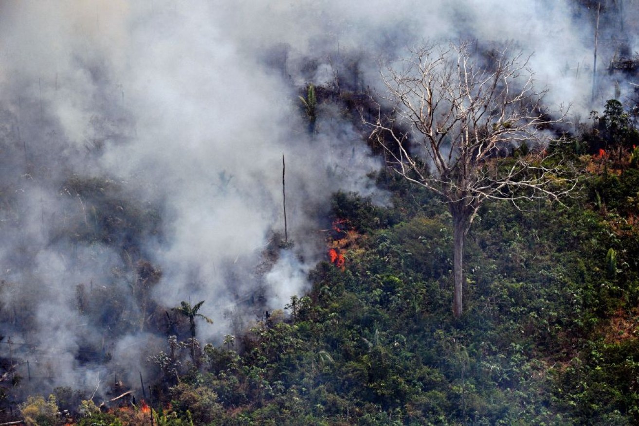 Fire burns through a section of the Amazon rainforest in the worst fire season on record.
