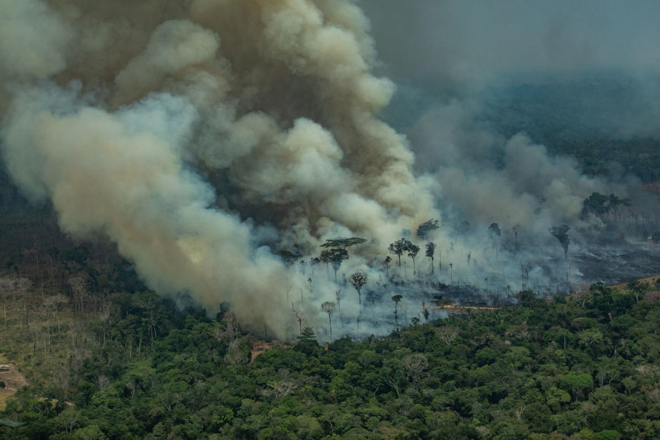 The Amazon rainforest has been burning for almost four weeks now.