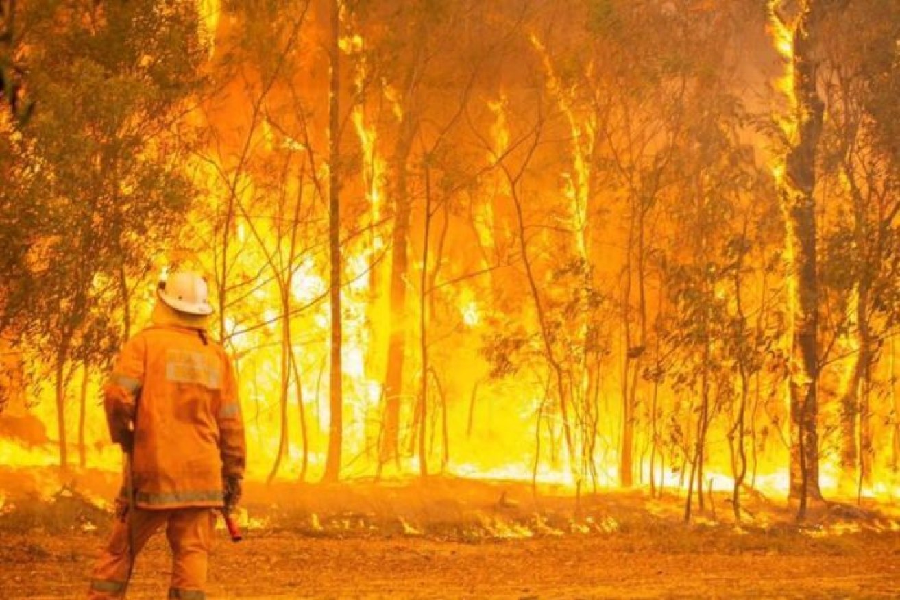 During the fire season police monitor arsonists 
