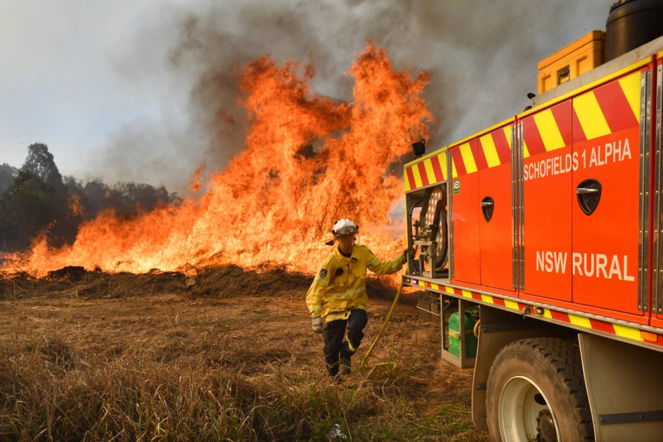 New South Wales Rural Fire Service firefighters backburn near the northern NSW town of Drake on Monday.