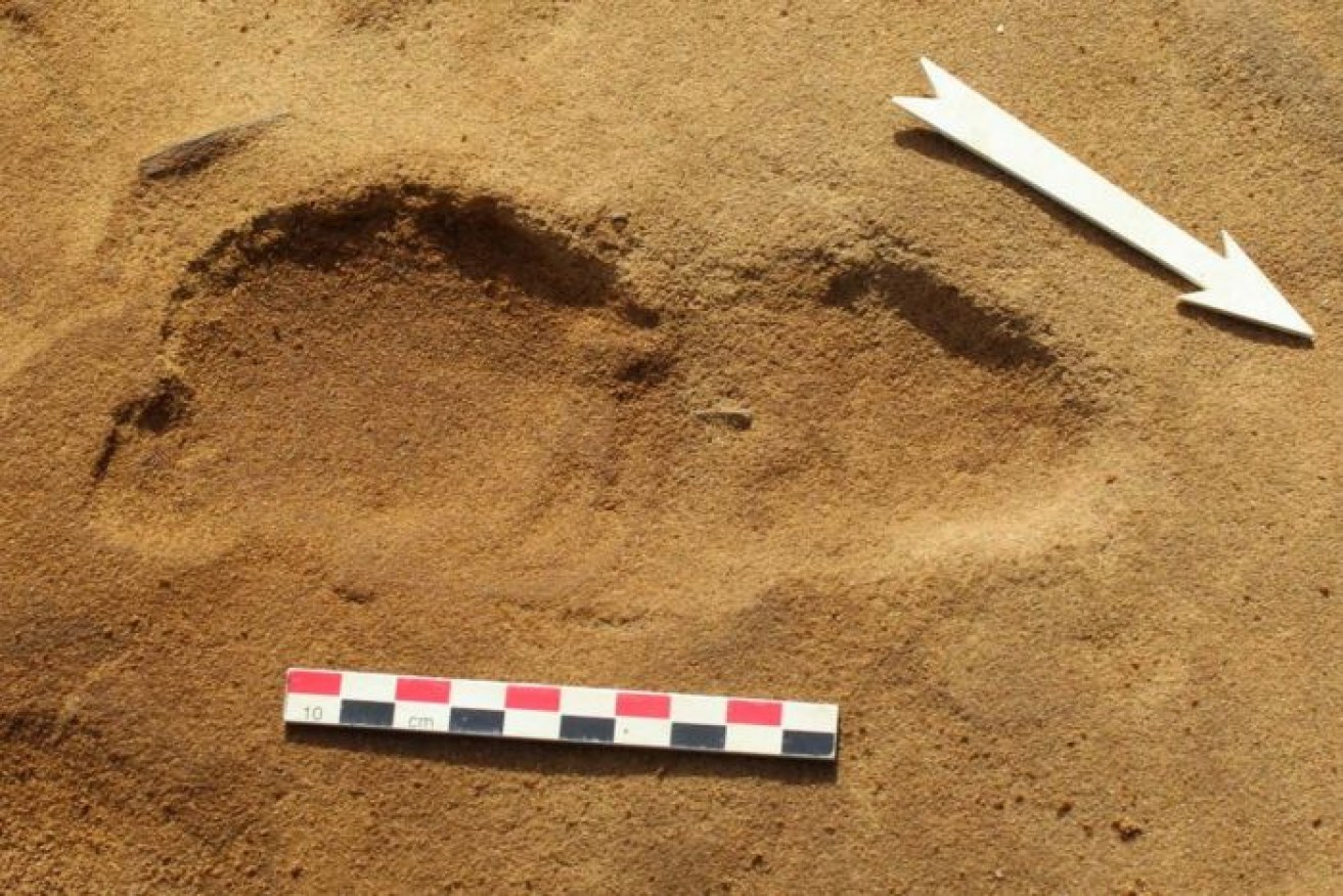 One of 257 fossilised footprints discovered in Normandy, France.