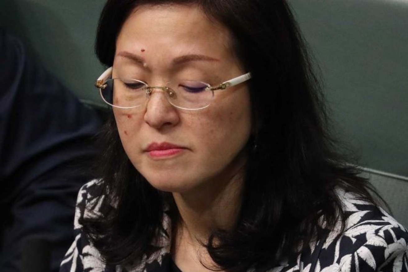 Gladys Liu has been under siege over her connections to Chinese Government-affiliated groups.