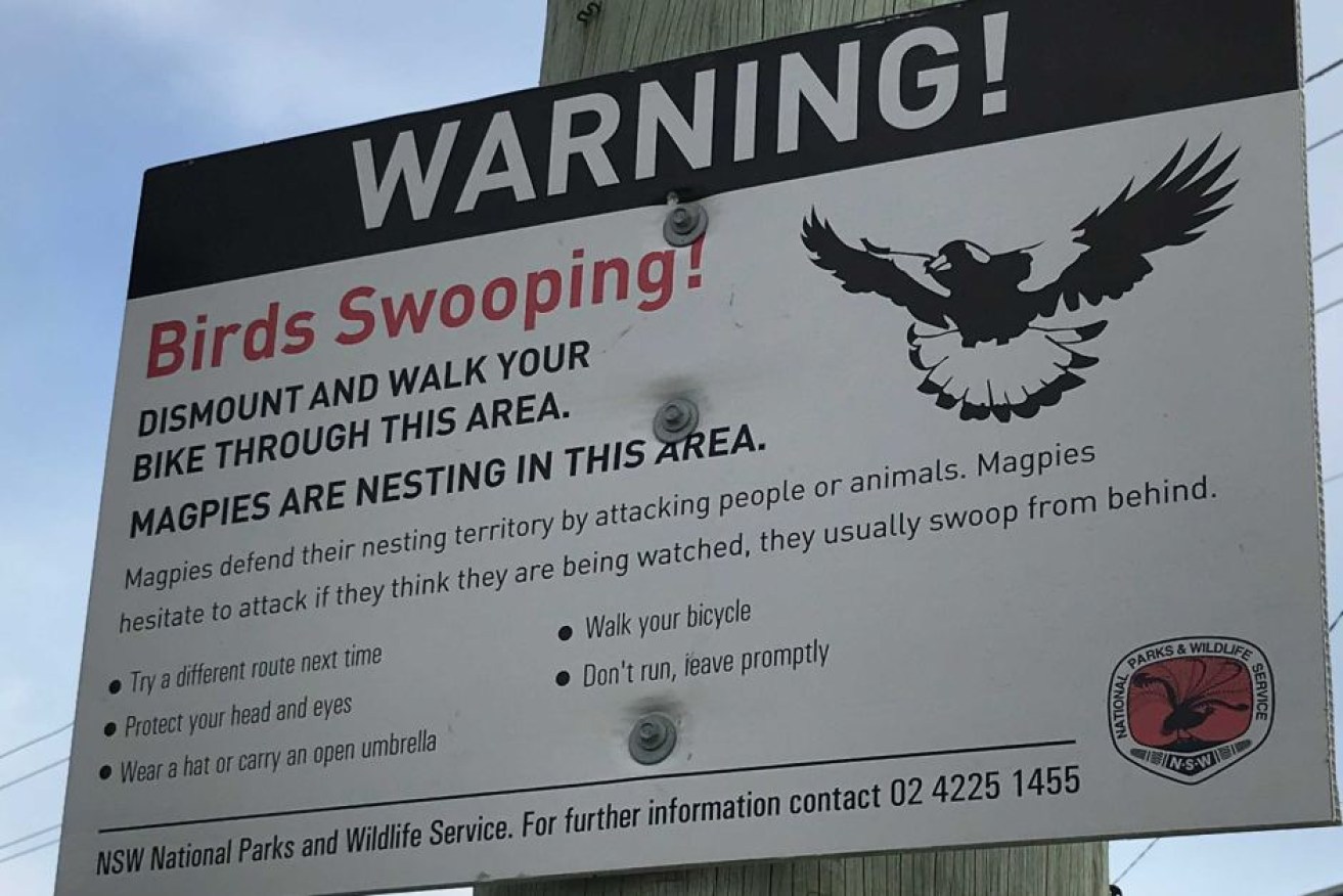 A warning sign near Nicholson Park in Woonona.