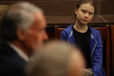 Thunberg to US lawmakers: ‘act on climate’
