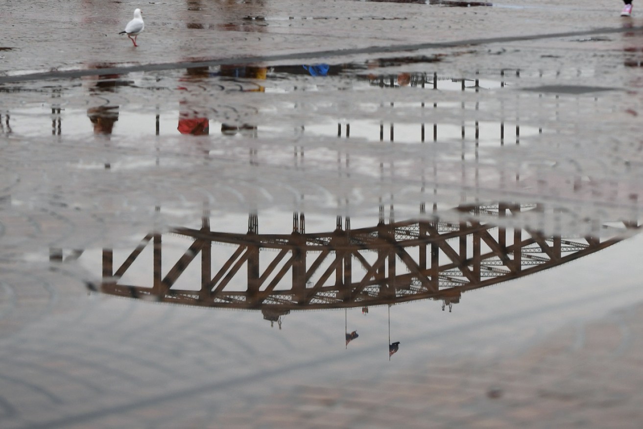 On the surface, Sydney Harbour is one of the world's beauty spots. Down below, not so pretty.