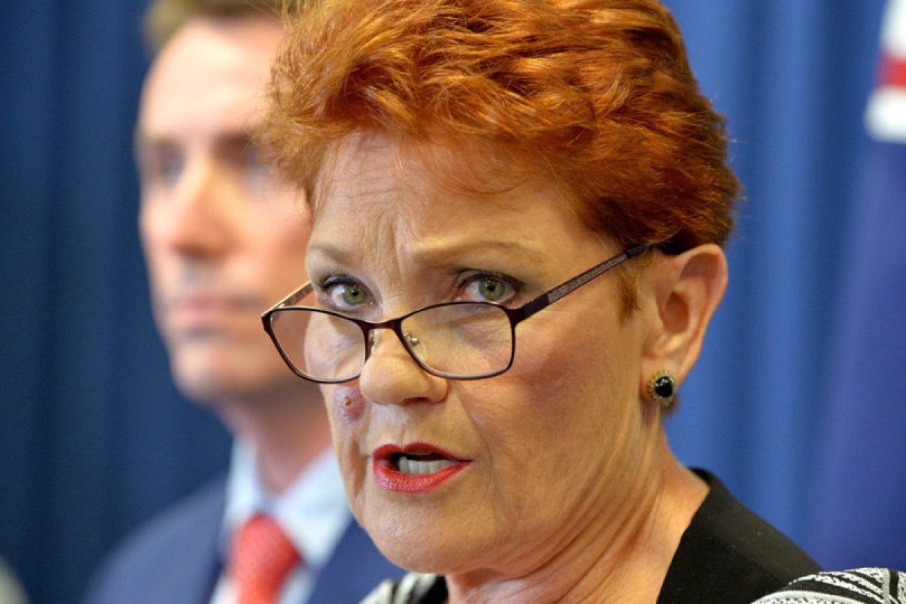 One Nation leader Pauline Hanson is ignoring calls from domestic violence survivors to cancel an inquiry into family law.