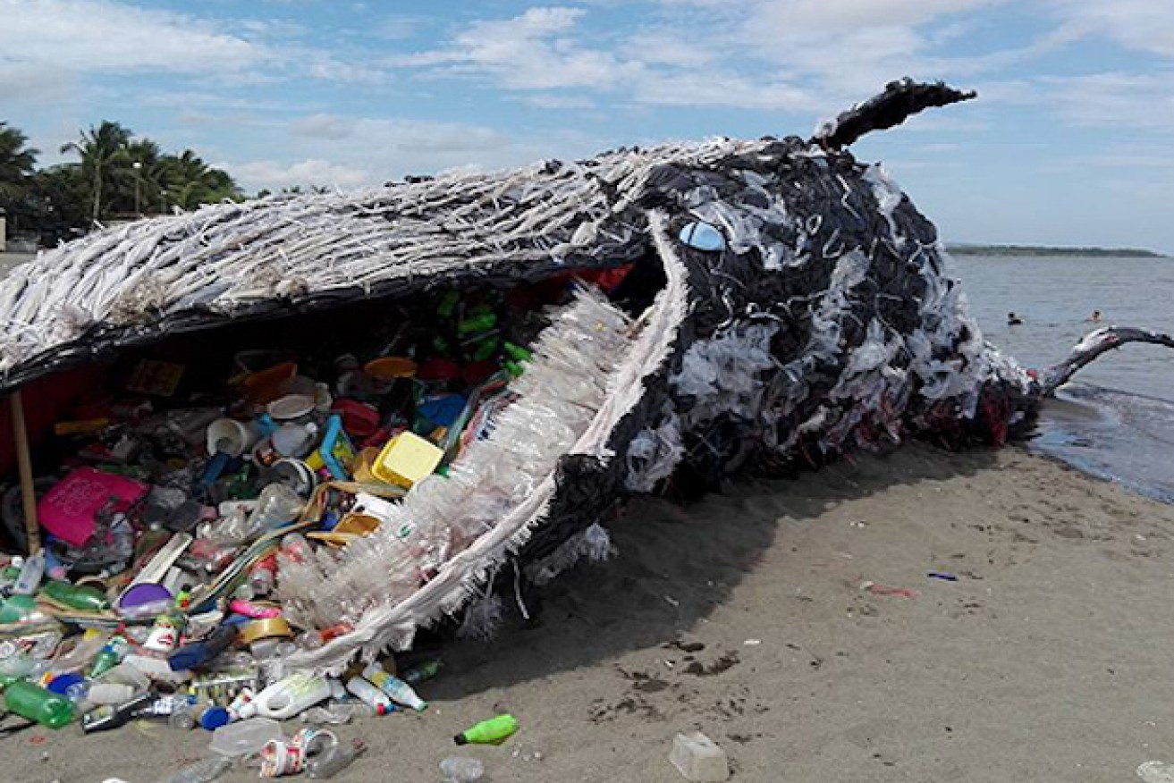 A whale constructed entirely from plastic waste. 