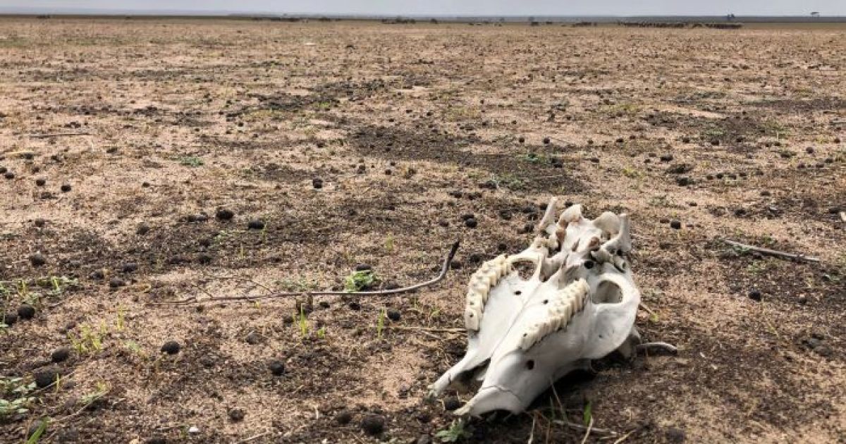 Victorian farmers get $31.5 million for drought relief