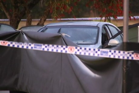 Woman charged over NSW carpark deaths