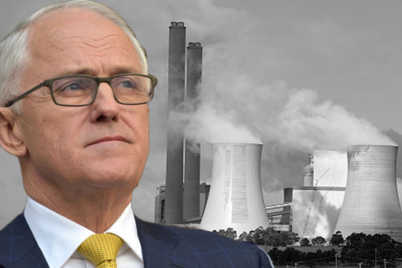 Malcom Turnbull is backing anti-coal independent Kirsty O'Connell.