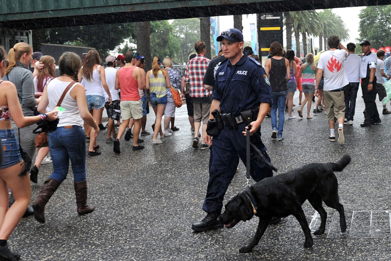 One officer said he performed 19 strip searches at the festival, and found only one drug - a Valium tablet.