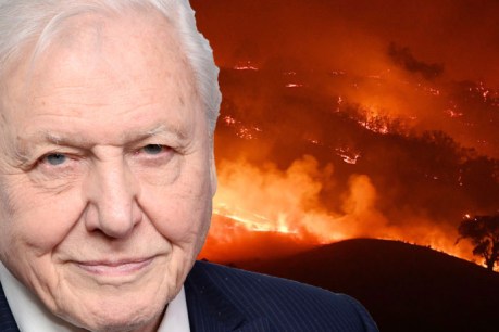 ‘We have a chance’: David Attenborough says $US500 billion needed annually to save Earth