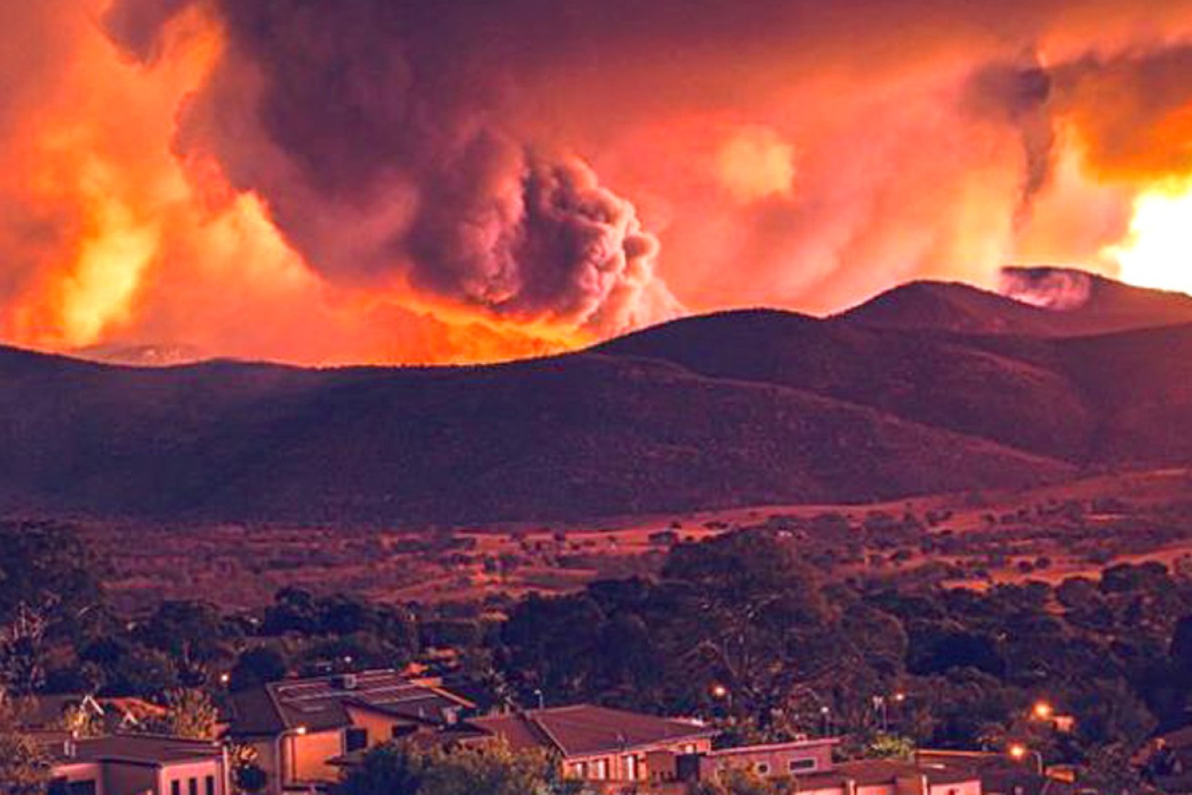 It took more than two months of blood, sweat and tears to defeat the Shoalhaven inferno.