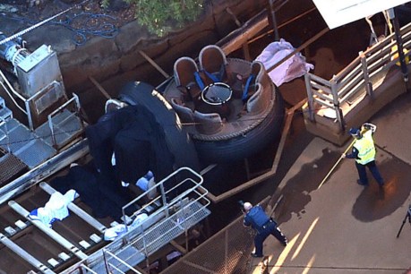 Dreamworld operator pleads guilty over deadly ride accident