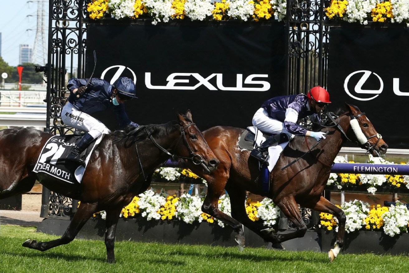 Twlight Payment wins the Melbourne Cup at Flemington on Tuesday.