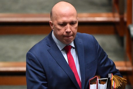 Dutton in witness box for defamation trial