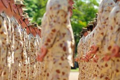 ADF suicide ‘undeniably’ a national tragedy: Inquiry