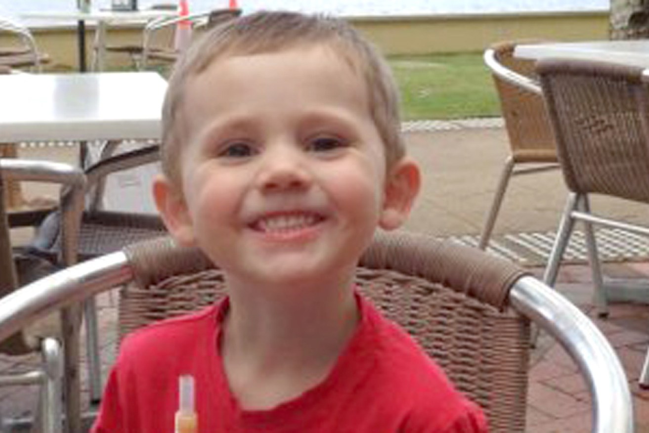 William Tyrrell vanished from his foster grandmother's house in 2014.