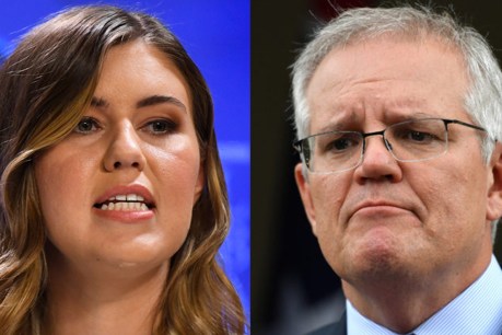 Morrison 'lies' over Higgins alleged in court filings