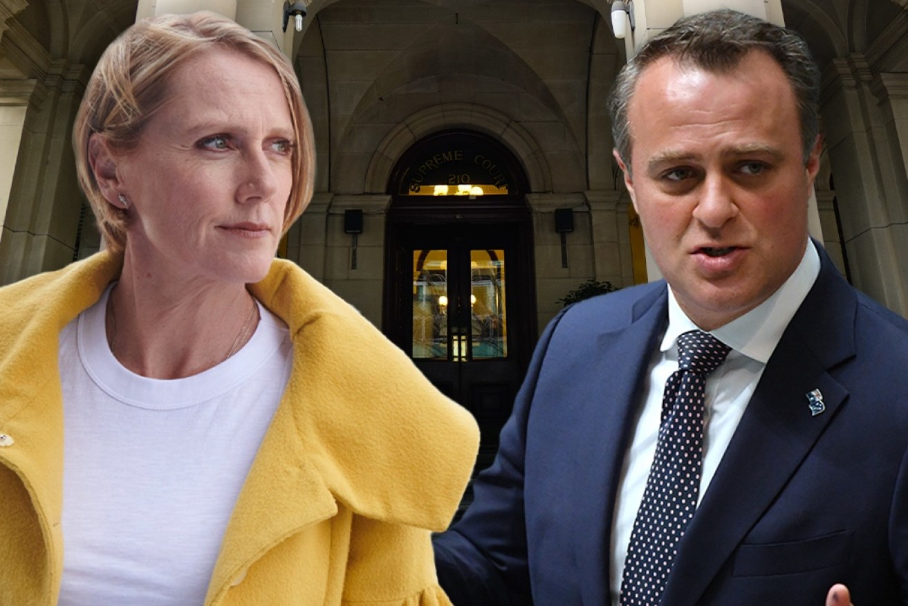 Tim Wilson will contest the seat of Goldstein for the Liberal Party in a rematch with independent MP Zoe Daniel.