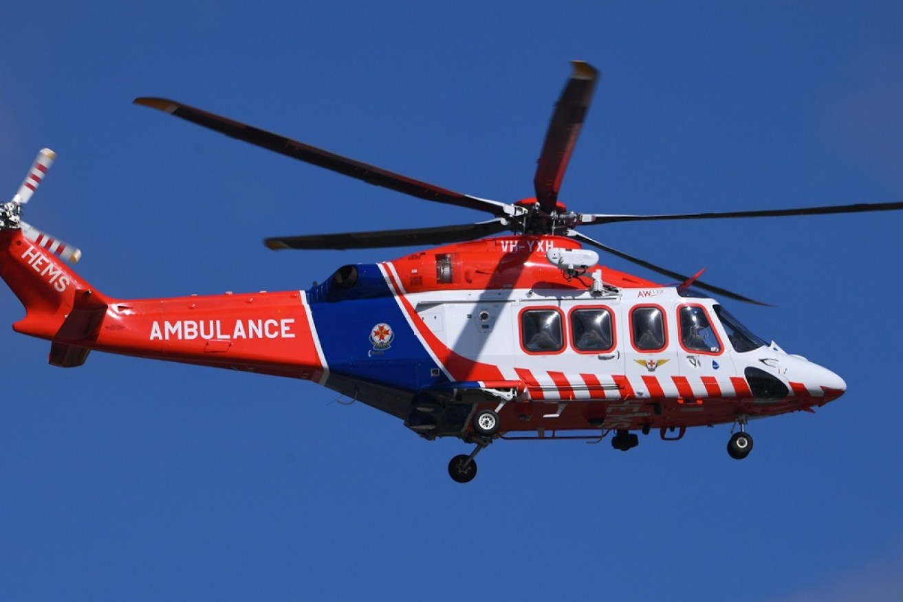 A toddler was airlifted with serious injuries after a neighbour's dog attacked him.