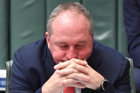 Barnaby Joyce’s character on trial in leadership vote