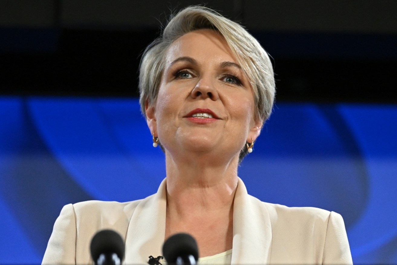 Federal Environment Minister Tanya Plibersek has won her case.