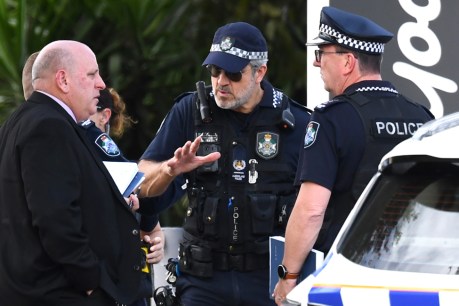 Queensland stab murder accused named in court