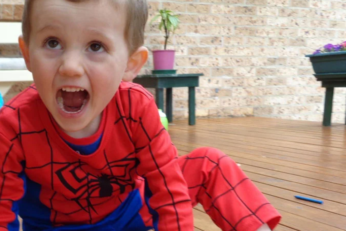 No trace of William Tyrrell - last seen wearing a Spider-Man suit - has been found.