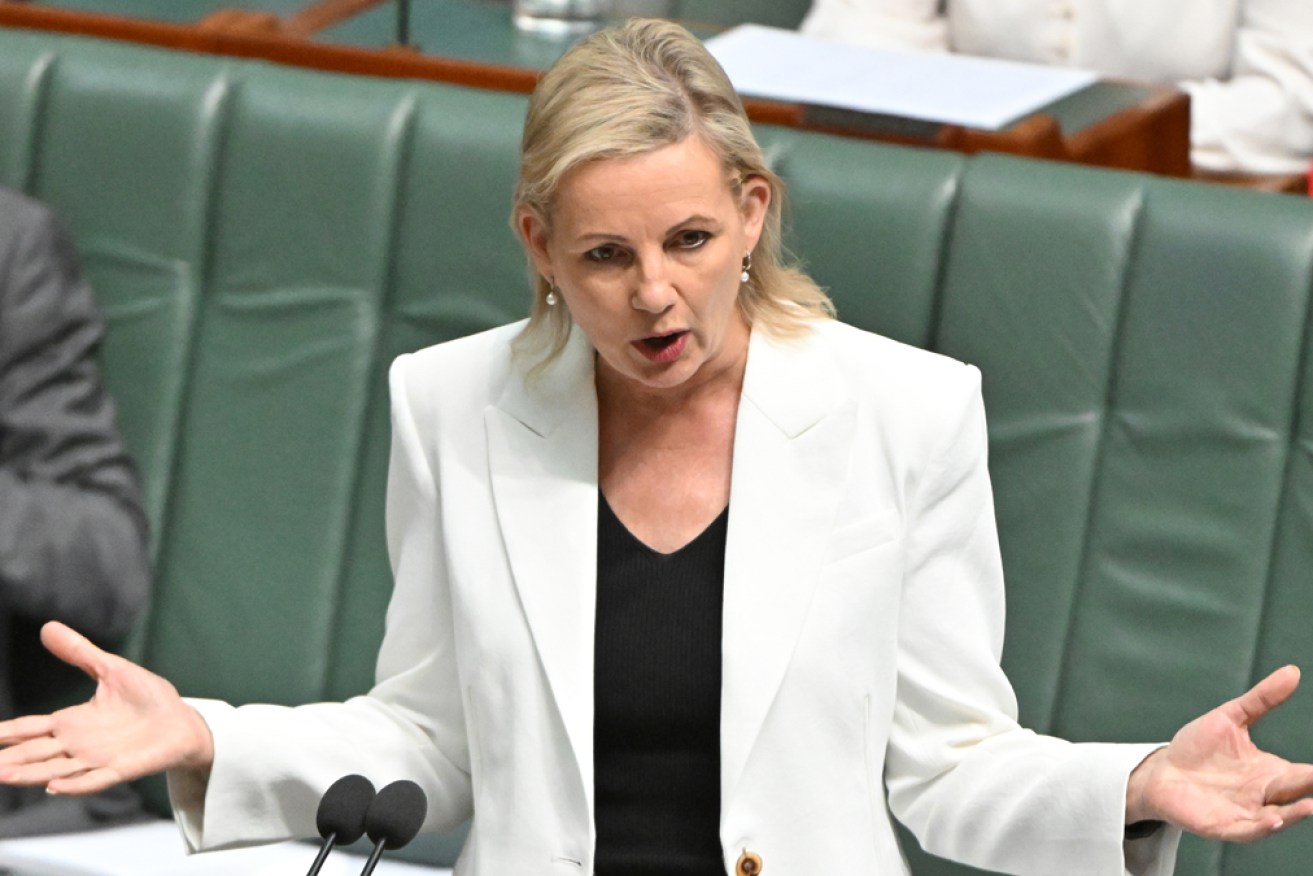 Sussan Ley has criticised Ed Husic for straying from the government's position on Mideast violence.