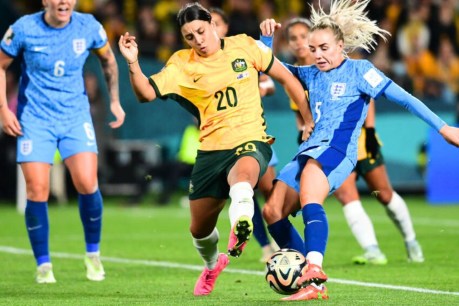 Top videos: Sam Kerr’s goal, <i>Play School</i> shenanigans, and an obedient hippo