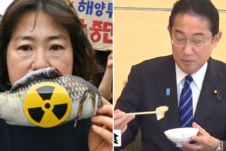Japan PM eats Fukushima seafood to quell fears