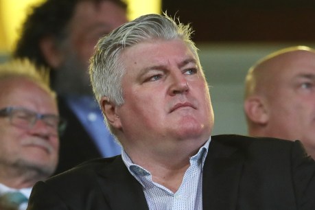 &#8216;Expedited&#8217; trial for Stuart MacGill over coke supply