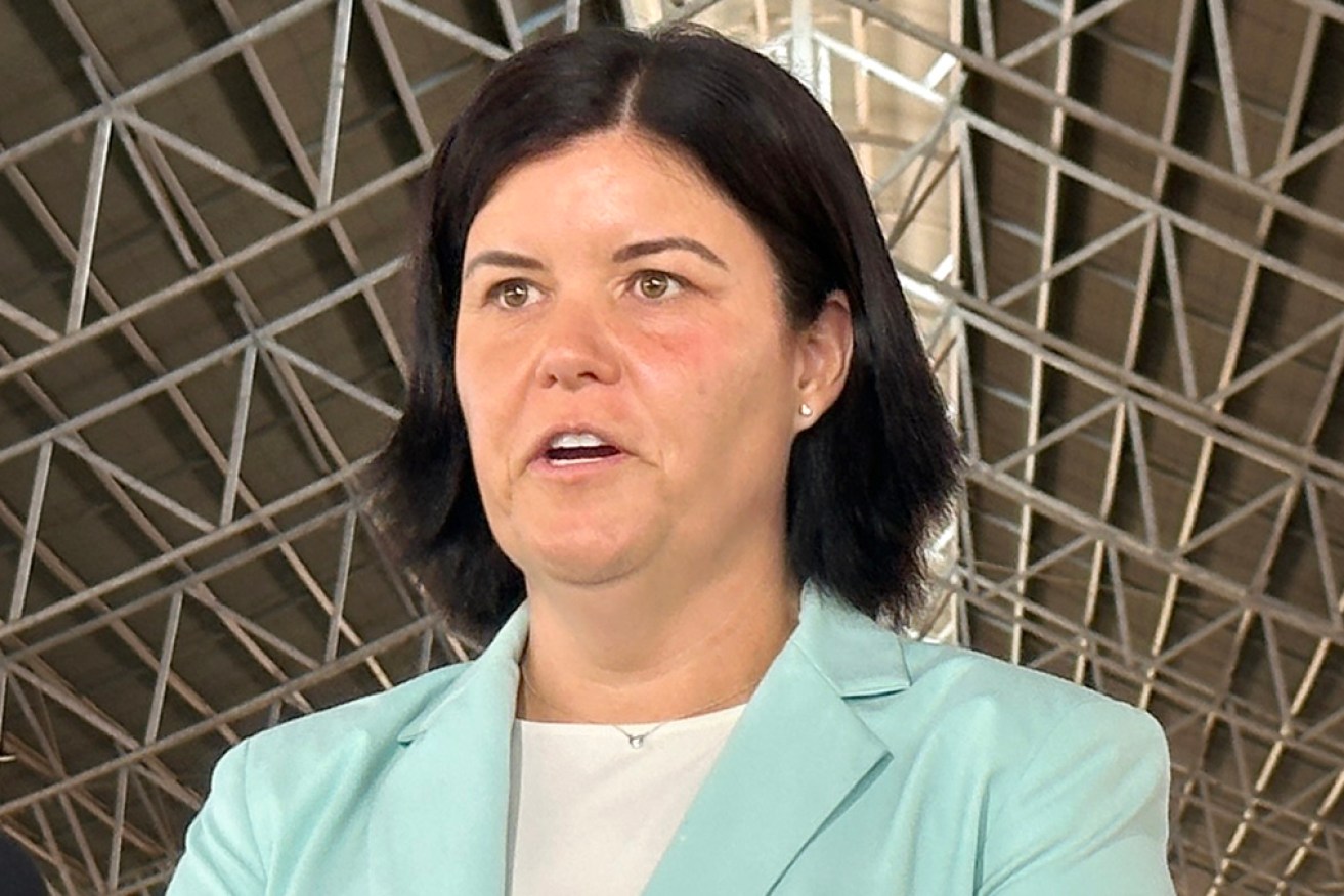 NT Chief Minister Natasha Fyles is being urged to resign over her ownership of mining shares.