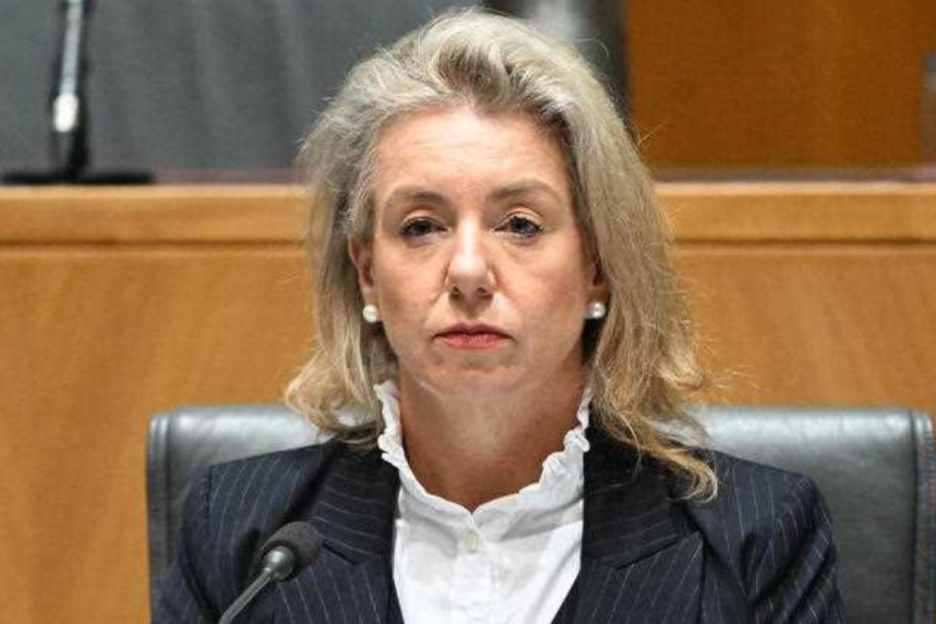 Senator Bridget McKenzie is among critics who've questioned Anthony Albanese's Qantas flights.