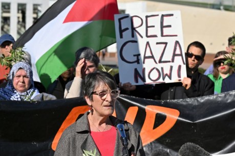 Australia pledges more Gaza aid, resumes UNRWA funding