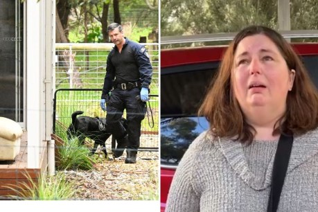 Mushroom cook asks &#8216;who died?&#8217; as police search home