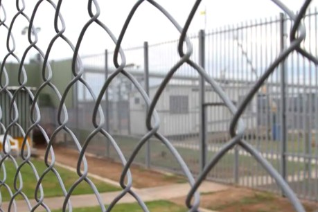 Calls for royal commission into immigration detention