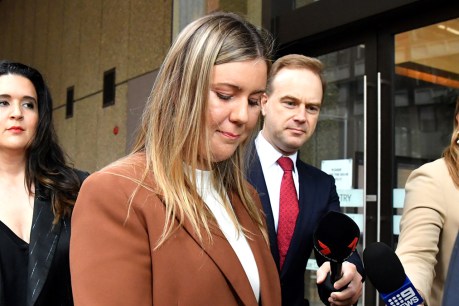 Higgins left ‘bread crumb’ lies to keep job, court told