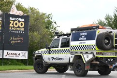 Murder probe after woman found dead at ACT zoo
