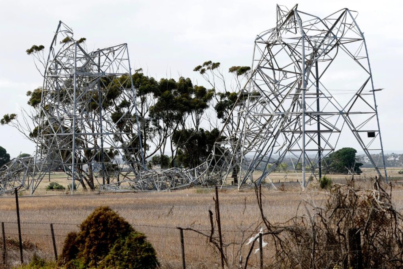 More than 12,000km of power lines were damaged in the wild weather that hit Victoria in February.