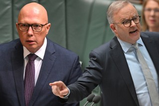 Dutton nudges ahead of Albanese as preferred PM