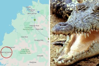 Grim find after 12yo girl snatched by crocodile 