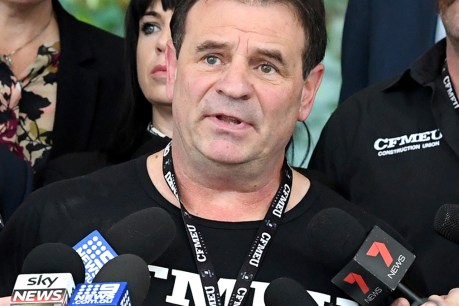 Probe into Setka's expletive rant at work site